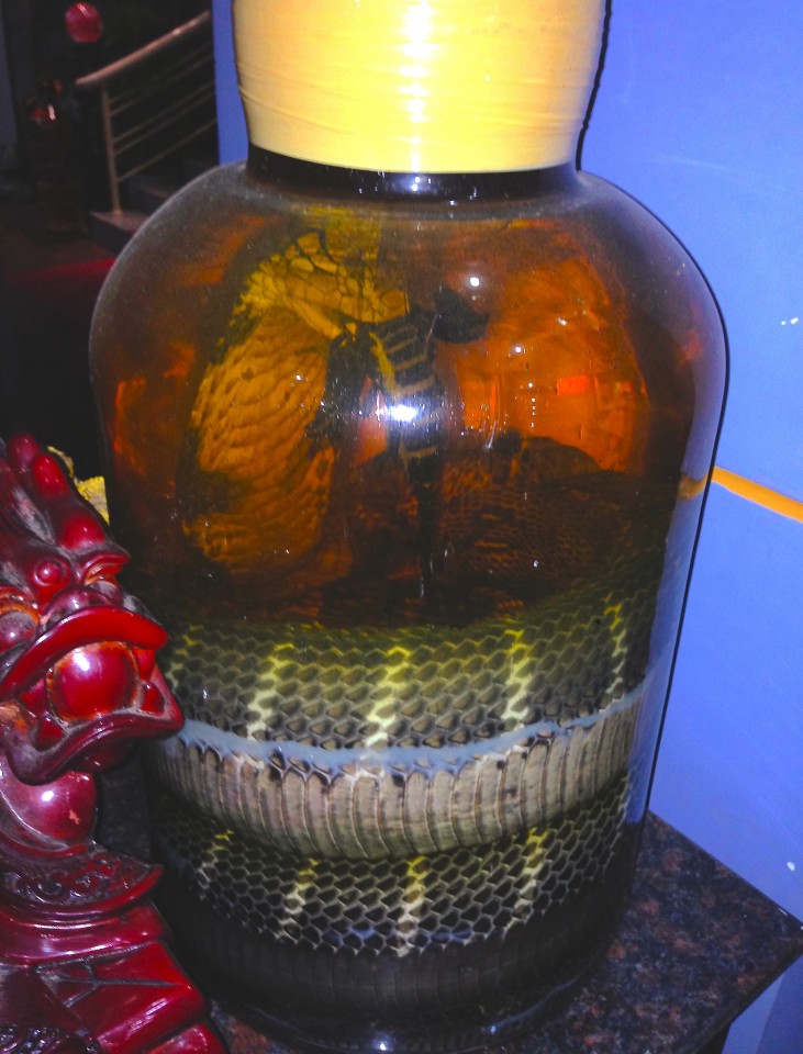 Cobra e scorpione dentro un liquore