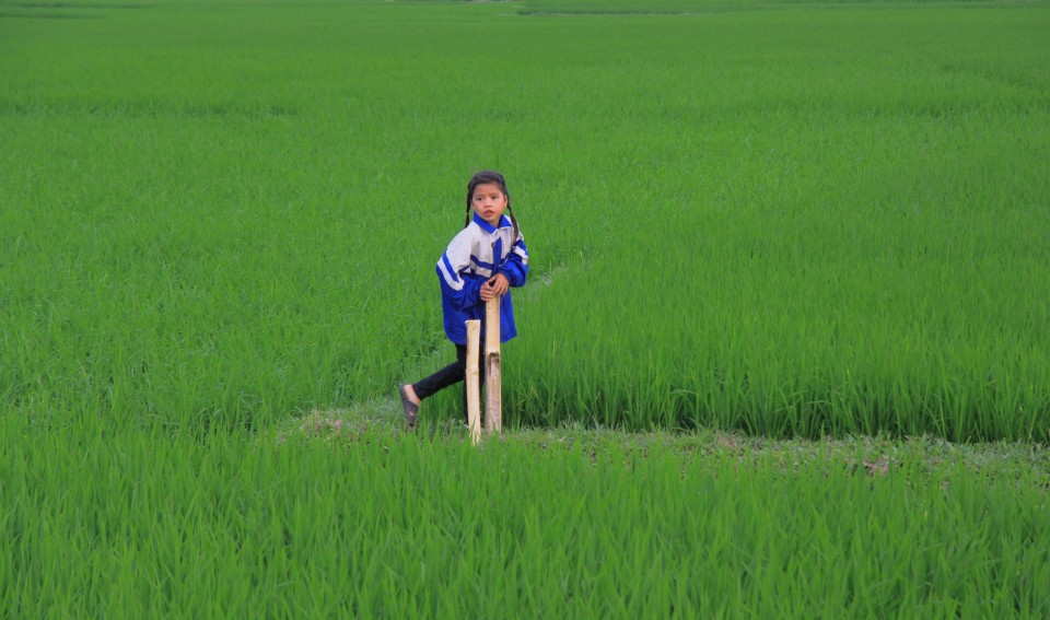 Una bimba gioca nel verde delle risaie