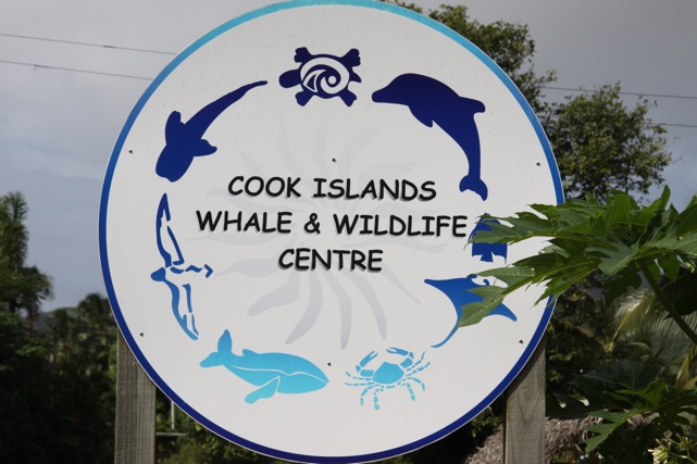 Il logo del Museo delle Balene di Rarotonga