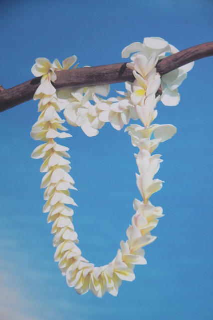 Una ‘ei, la tradizionale collana di fiori autoctoni con la quale si viene accolti all'arrivo