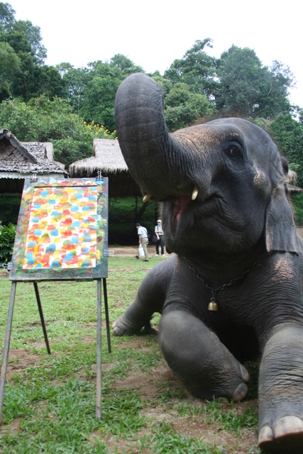 Thailandia-Chang May - Scuola per elefanti pittori
