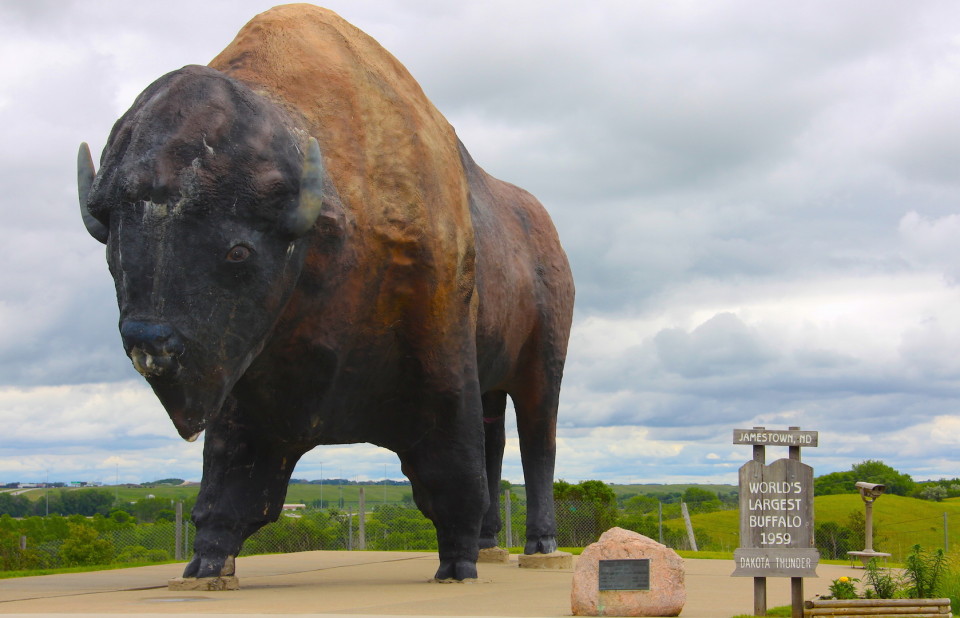 Il bisonte più grande del mondo.