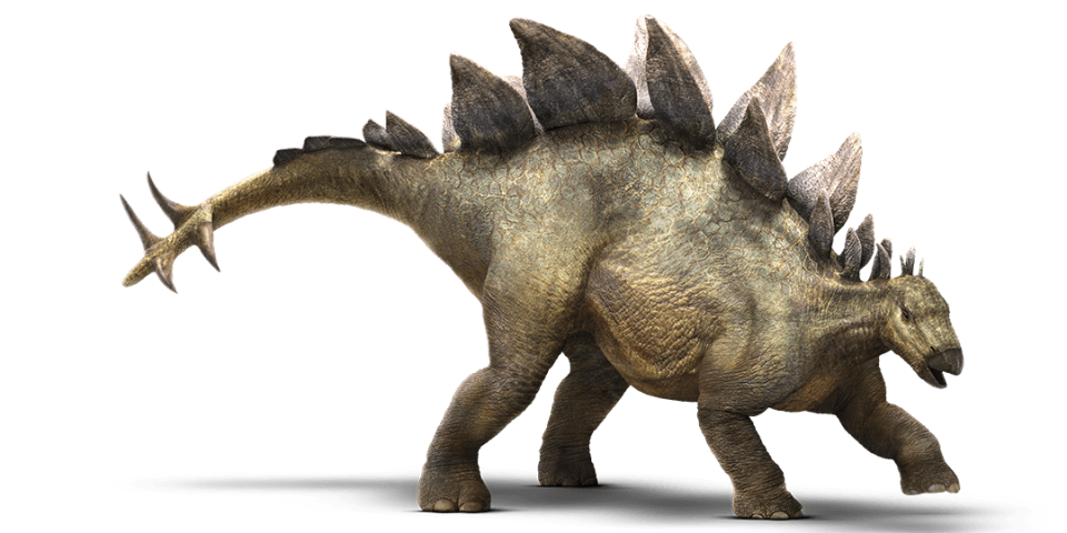 Stegosauro dinosauro con la cresta