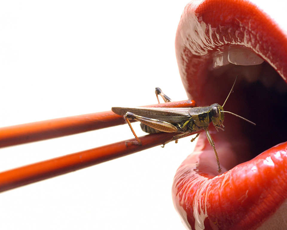 L'entomofagia sarà il futuro, ma è già il presente di tutti