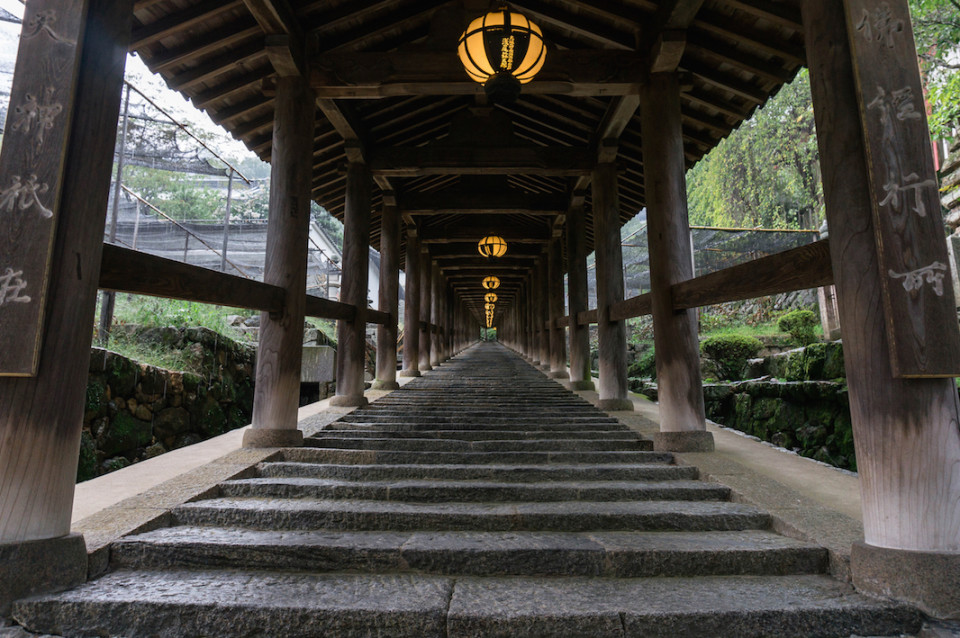 A Nara sulla scalinata della prefettura