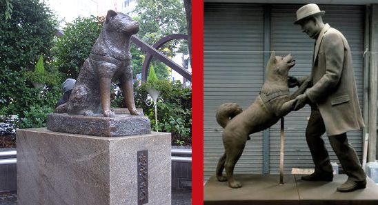 La statua del famoso cane Hachikō