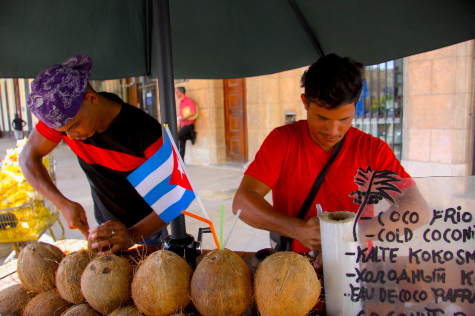 Venditori di cocco