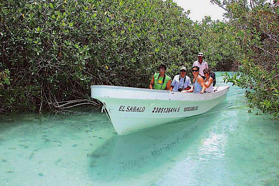 In barca tra le mangrovie lagunari
