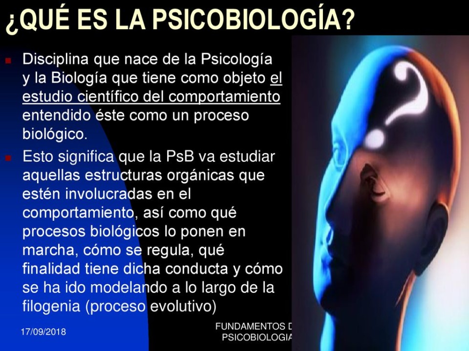 Cos'è la Psicobiologia