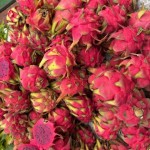 pitaya-o-frutto-del-drago